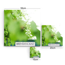 Brentanobad grün
