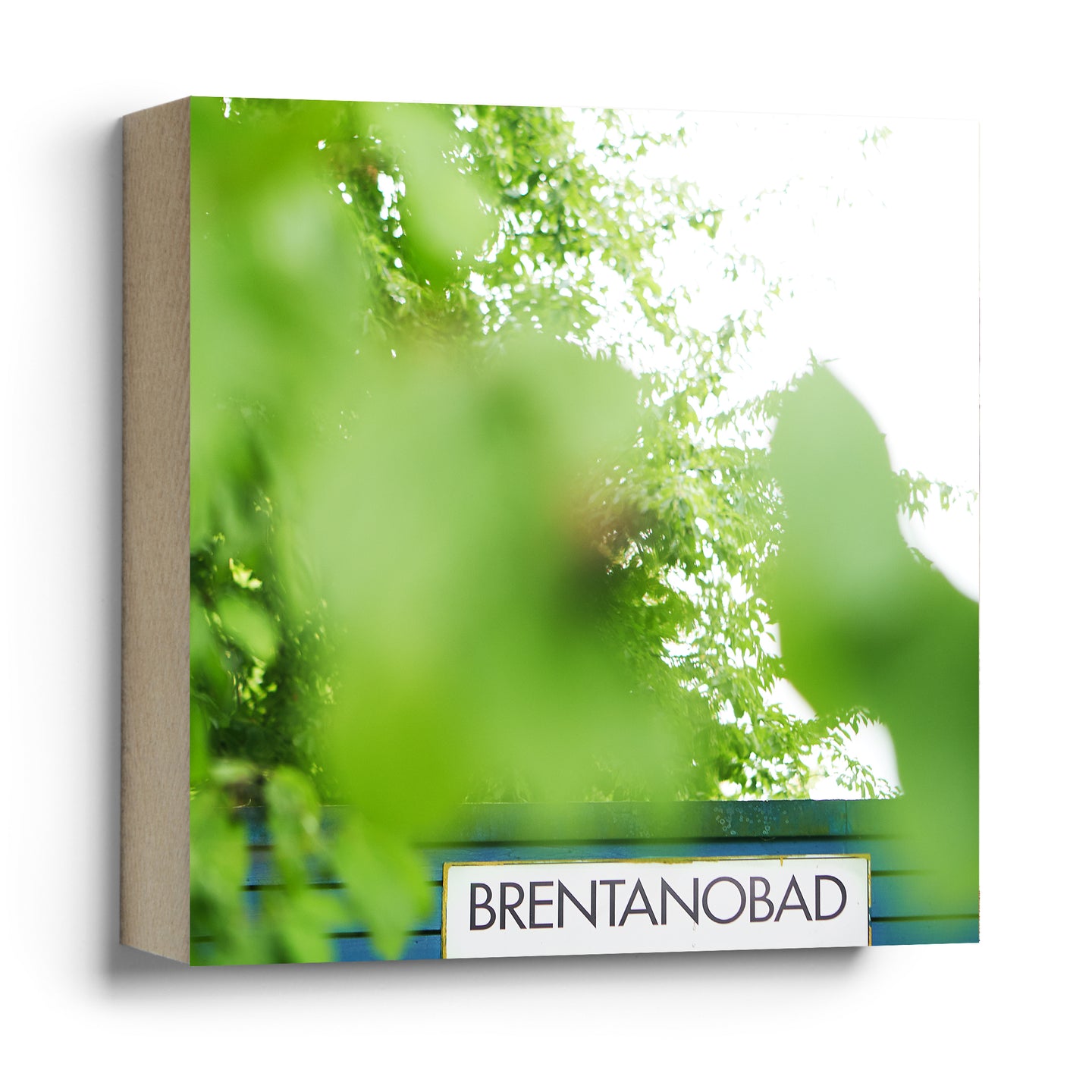 Brentanobad grün