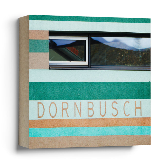 Dornbusch