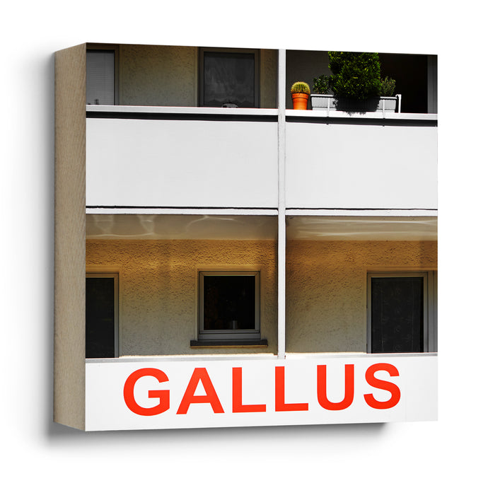 Gallus