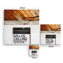 Gallus Calling