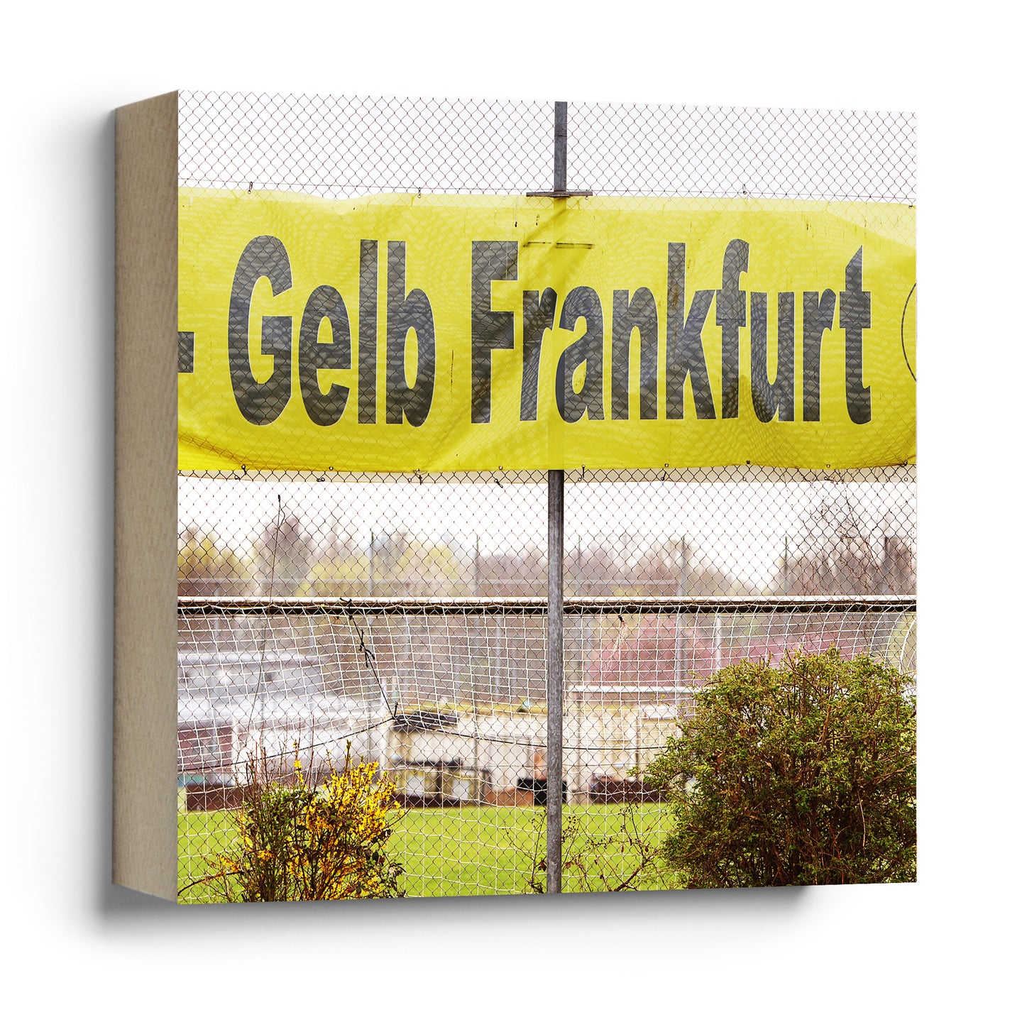 Gelb Frankfurt